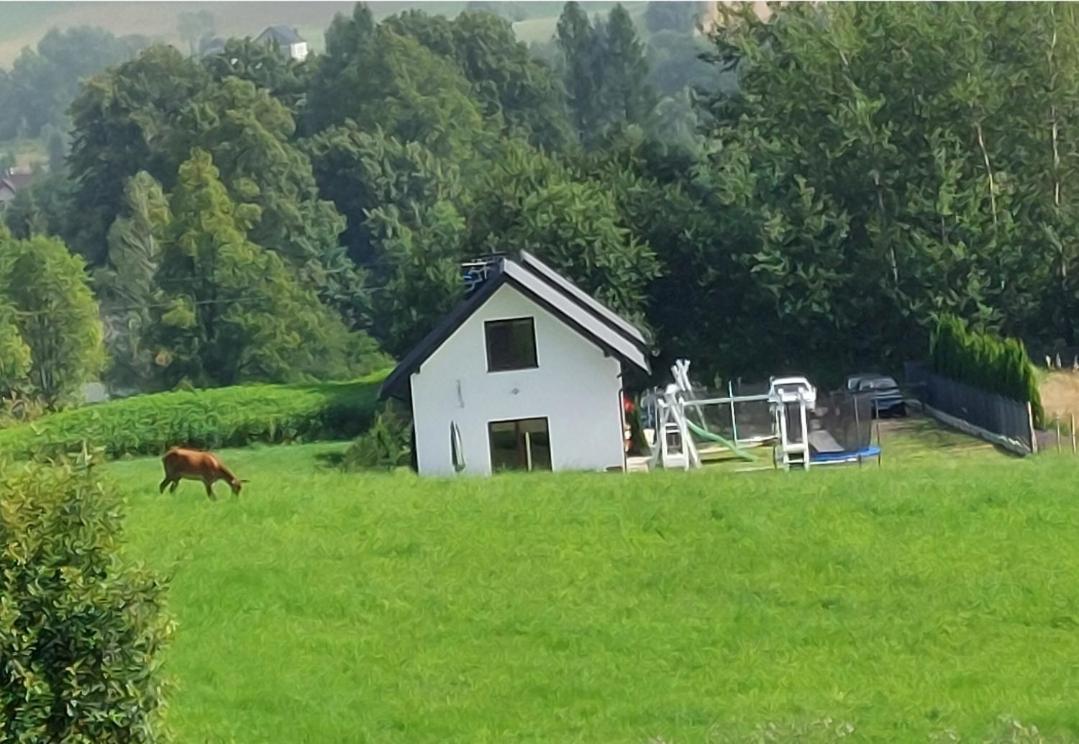 Villa Domek Pod Holica Bieszczady Ustrzyki Dolne Exterior foto